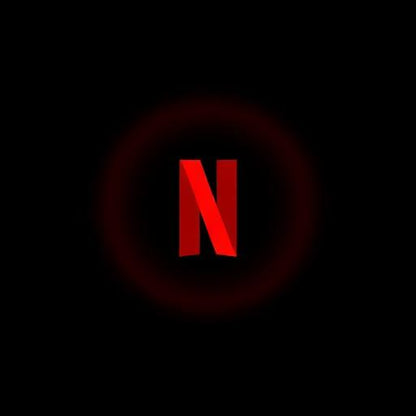 Netflix 3-Month Subscription